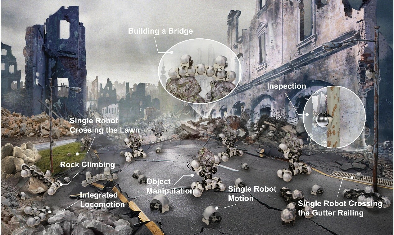 From Snails to Robots: Pioneering Adaptive Swarms in Rugged Environments