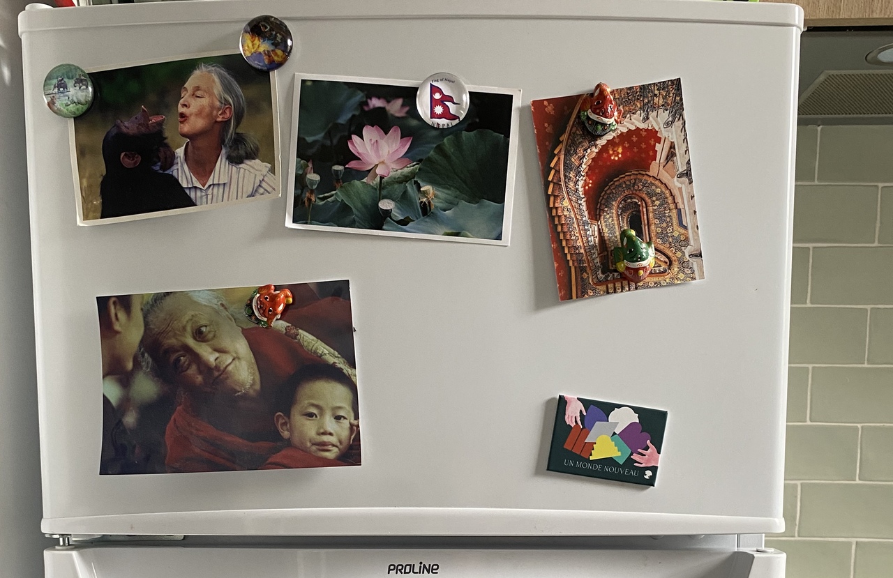 LiA Week 1: Welcome to the Office