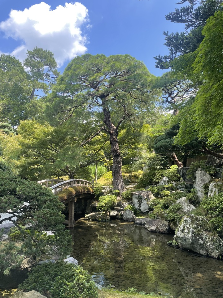 Experience Abroad Reflection