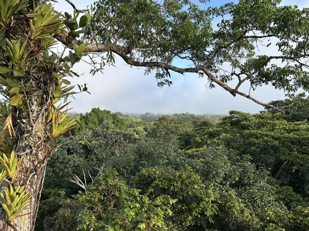 LiA Showcase - Amazonian Mammal Conservation in Loreto, Peru