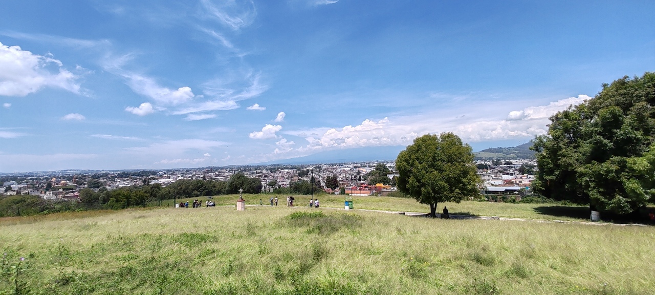 LiA Week 5 Log - CDMX - Last Dash and Some Plants of Labour