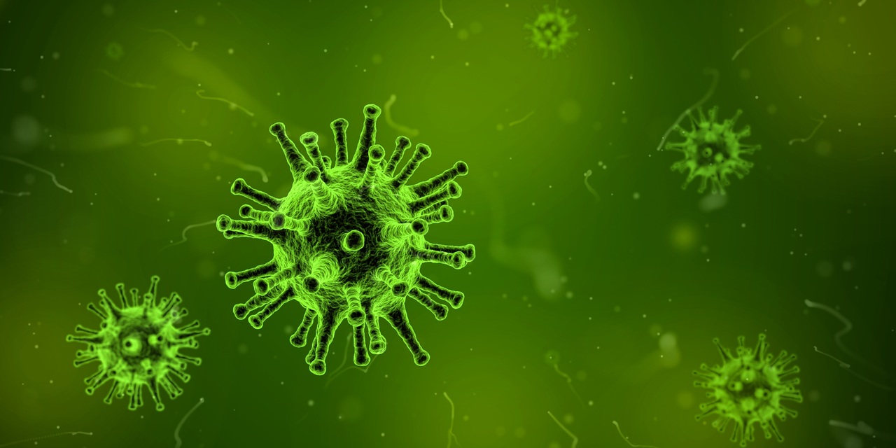 Citizen scientists enlisted to spot viruses 