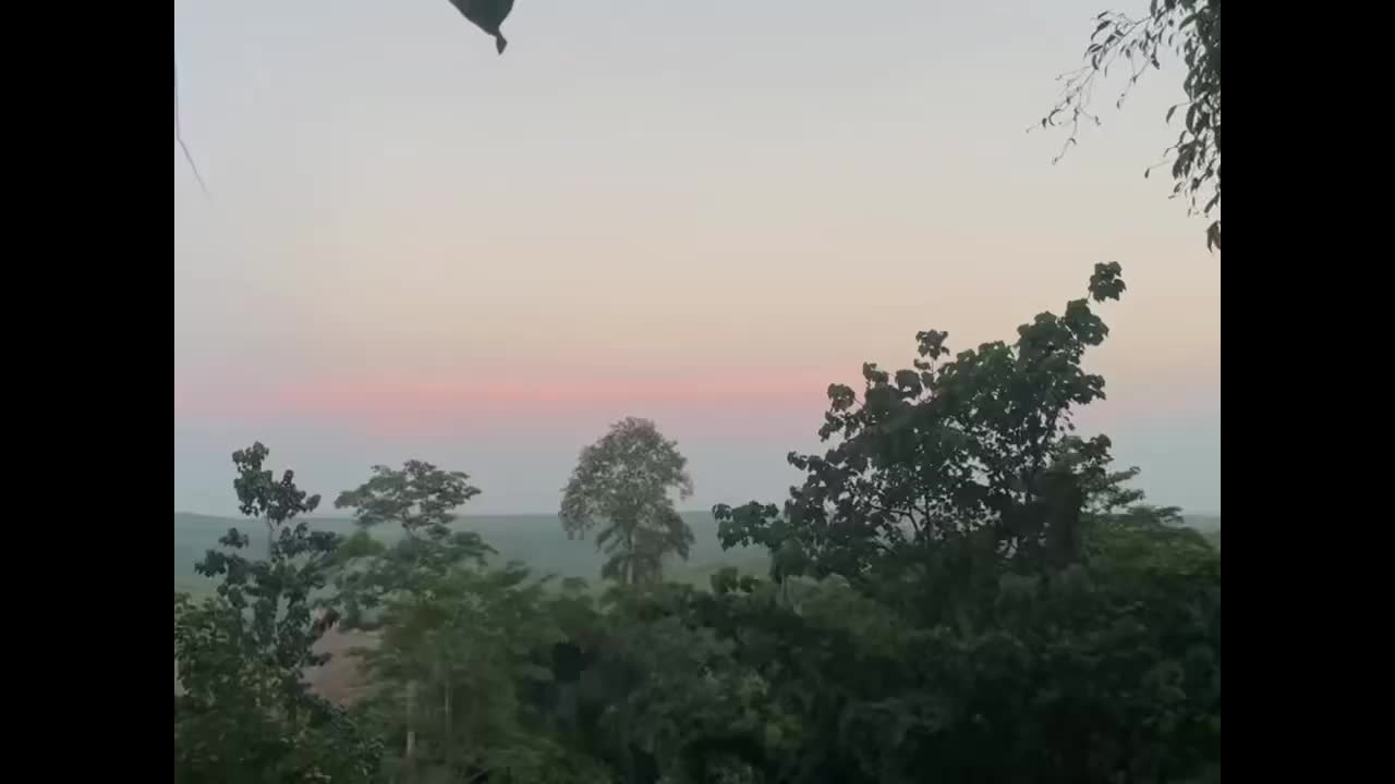 LiA Reflection: Continuity & Change In Indonesia's New Capital City