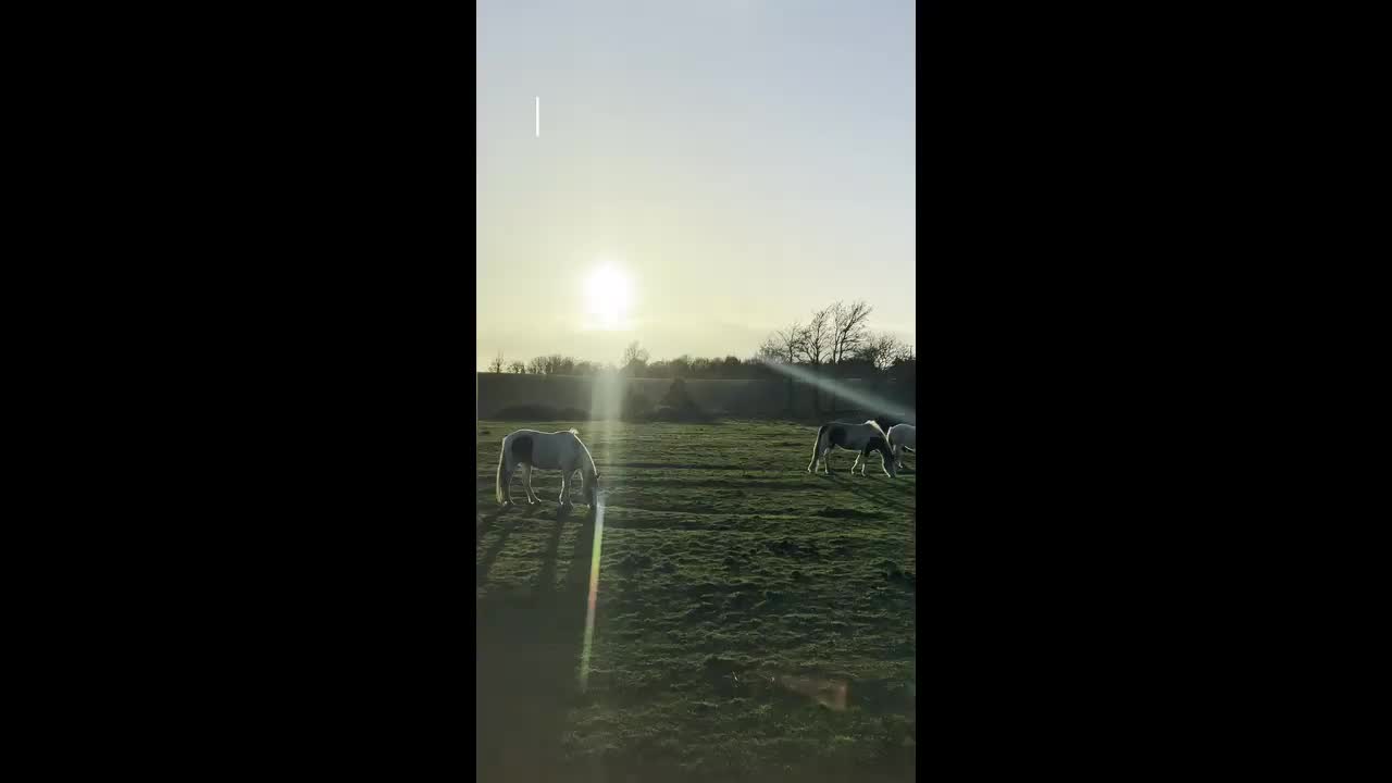 Vlog! Empowering Boston Through Tech Education