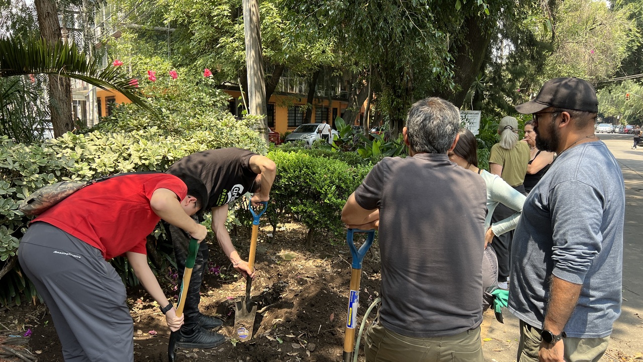 Week 5: Leadership-in-Action make_sense: Mexico