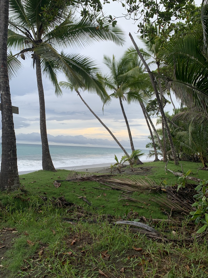 Pura Vida, Pure Lessons