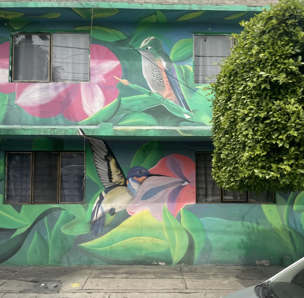 LiA make_sense americas: Week 1, Humanity