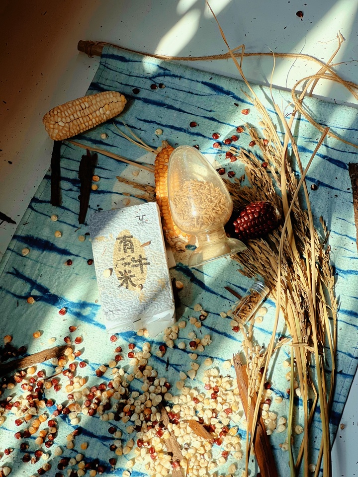 Week 4 LiA in Guizhou