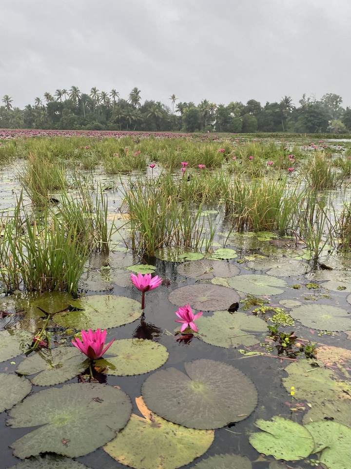 CraftHER by SWARA 2025 LiA- Week 4 reflection (Courage) 