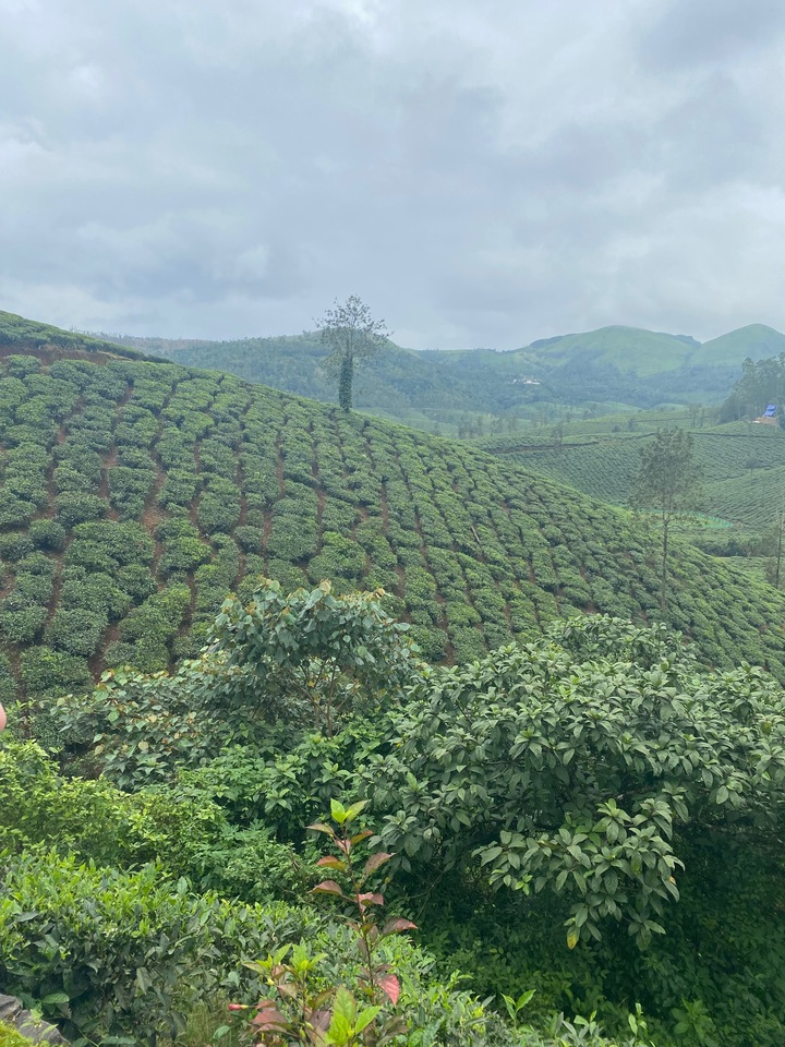 CraftHER by SWARA 2025 LiA- Week 5 reflection (Collaboration)