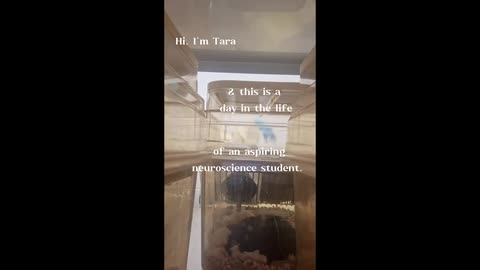 A Day in the Neuroscience Life: Laidlaw Research Summer Edition