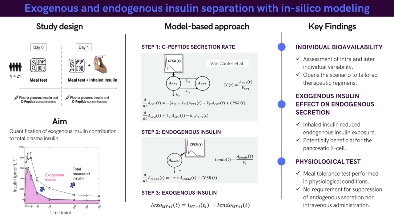 Exogenous and endogenous insulin separation with in-silico modeling