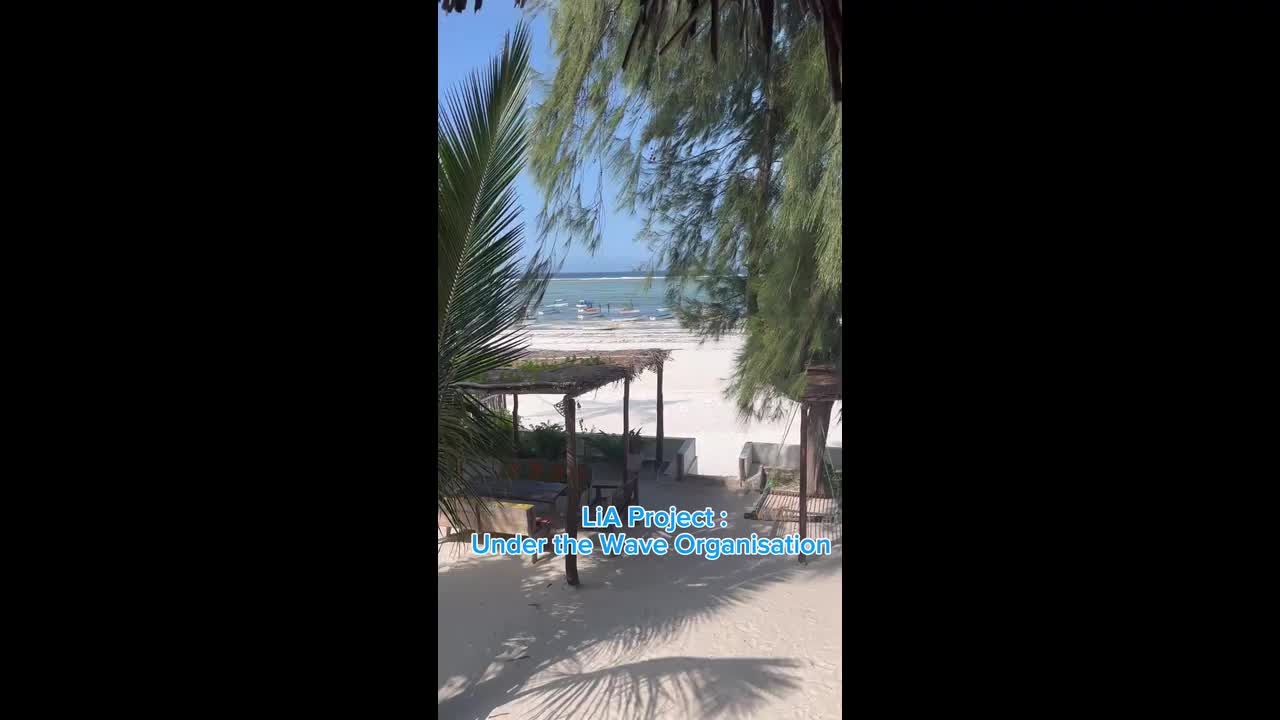 LiA Video- Under the Wave Organisation