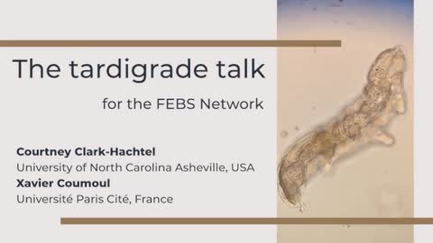 The transatlantic tardigrade talk