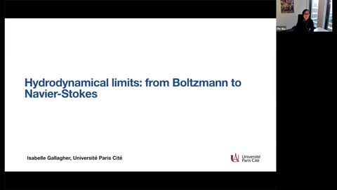 2025 Birkhäuser Distinguished Lecture by Professor Isabelle Gallagher