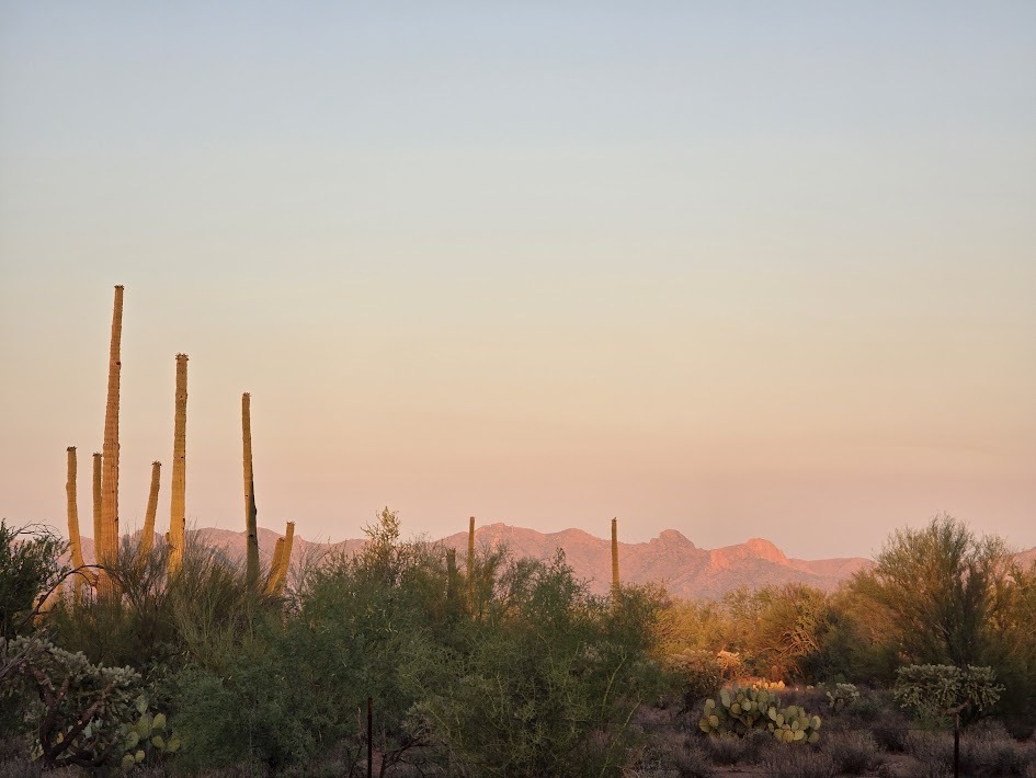 LiA Reflection Week 1: Life in the Borderlands