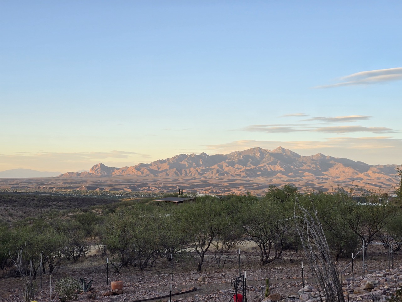 LiA Reflection Week 4: Perspectives and Practice