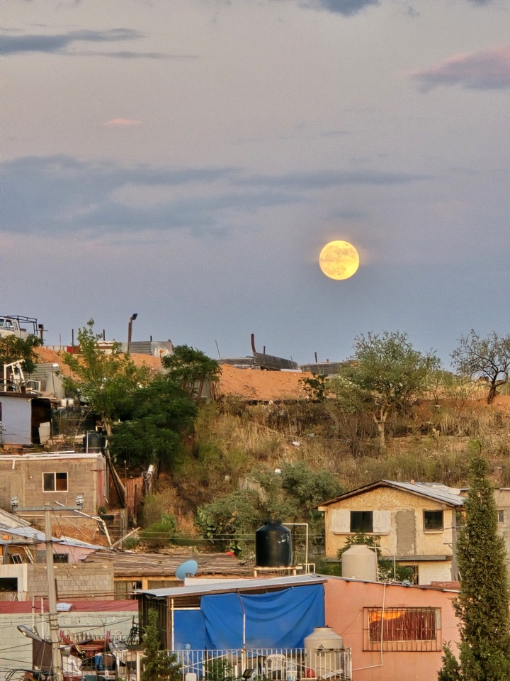 LiA Reflection Week 2.5: Asylum and CBP