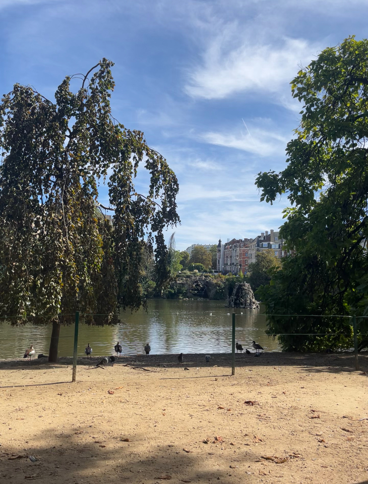 Brussels LiA Week 4 - Holding Space.