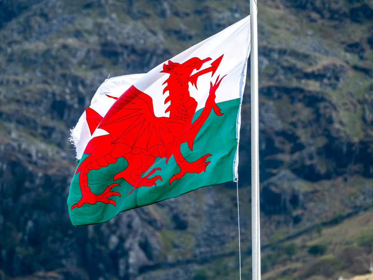 Pharmacies can claim £150 for pharmacy technician survey