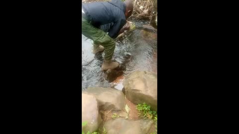 Conservation Education in Nigeria