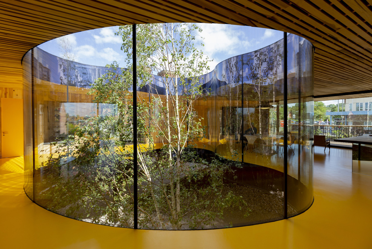 dRMM: Being a good ancestor