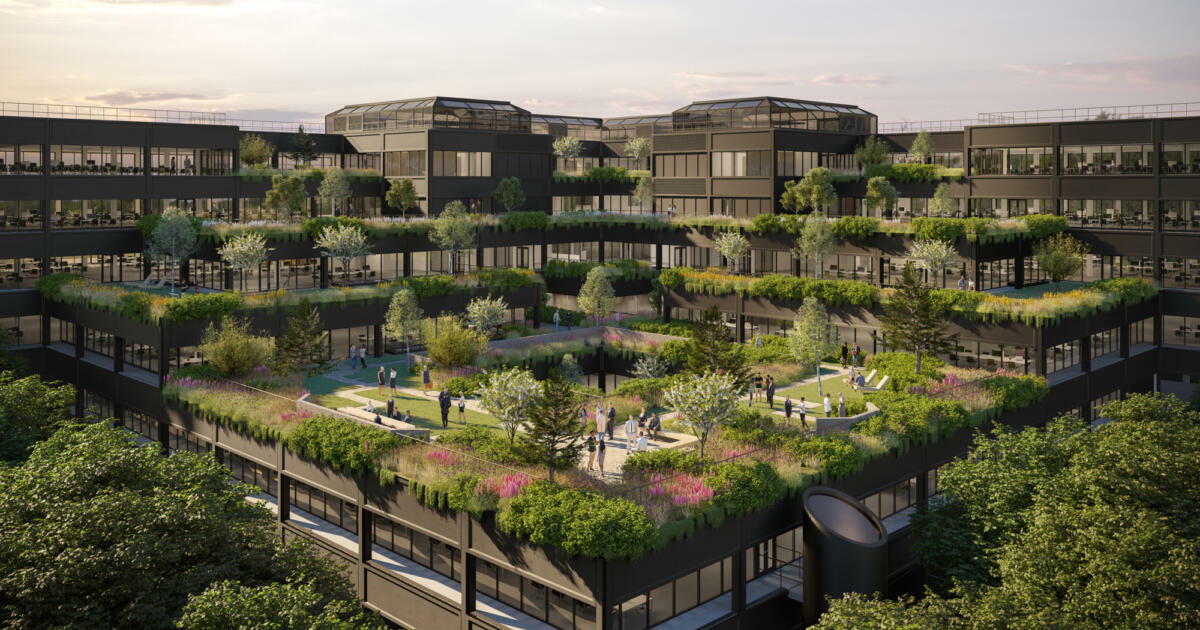 Front-runner: Considering nature in decision making