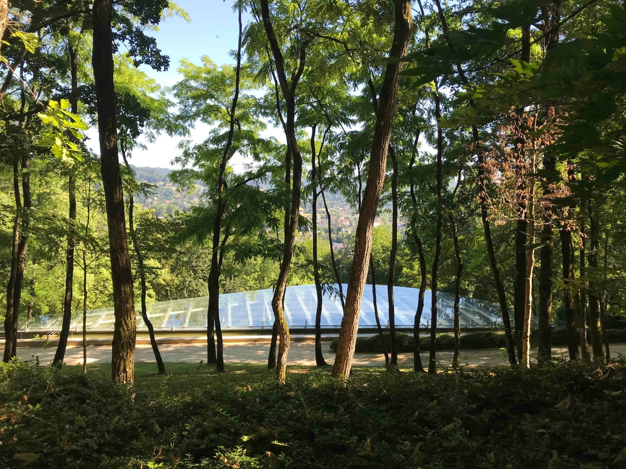 Ritchie Studio: Being a good ancestor