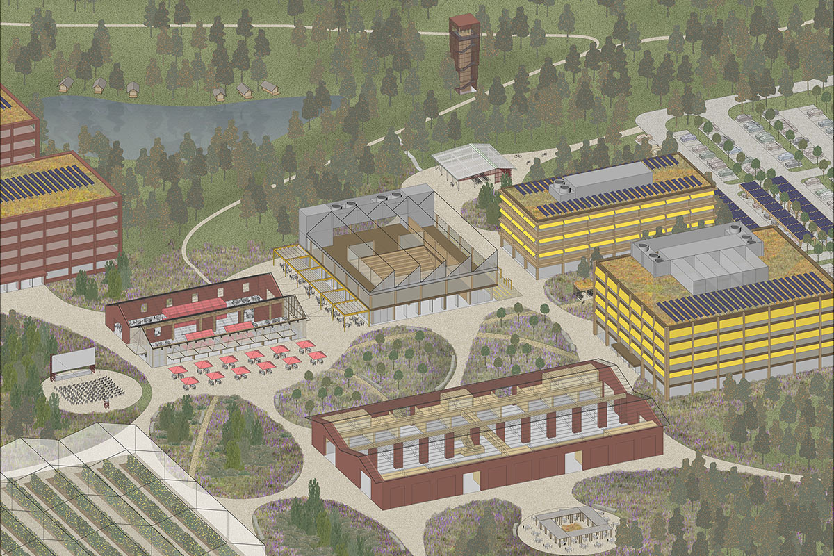 Studio Multi: Co-evolving with nature