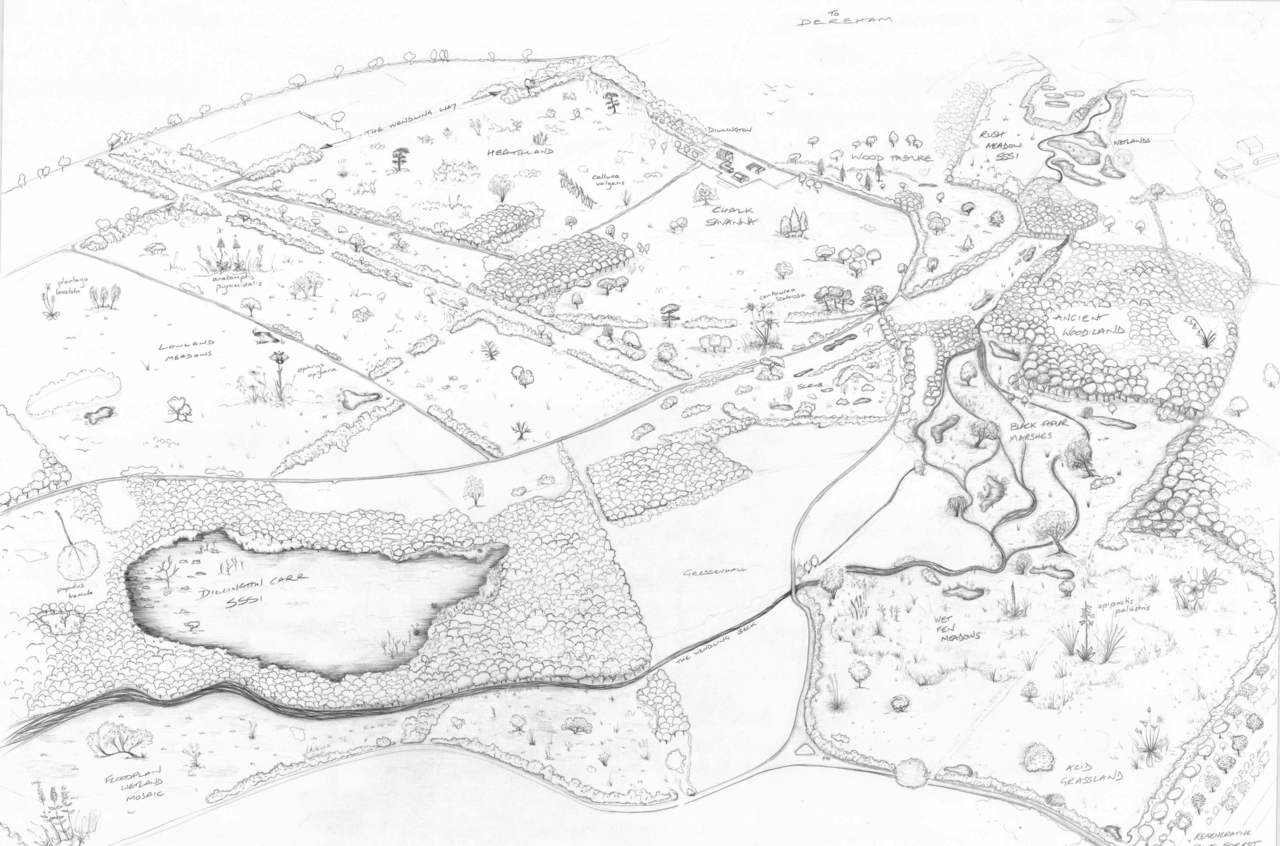 Digg & Co. Studio: Creating a just space for people