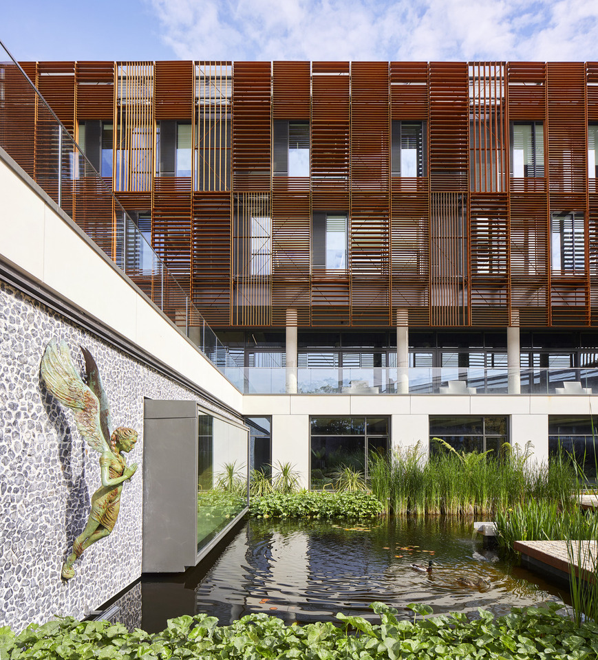 Positive Collective: Co-evolving with nature