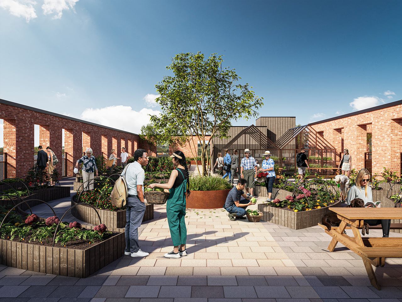 AEW Architects: Being a good ancestor