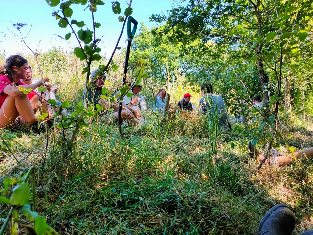 Considering nature in decision making