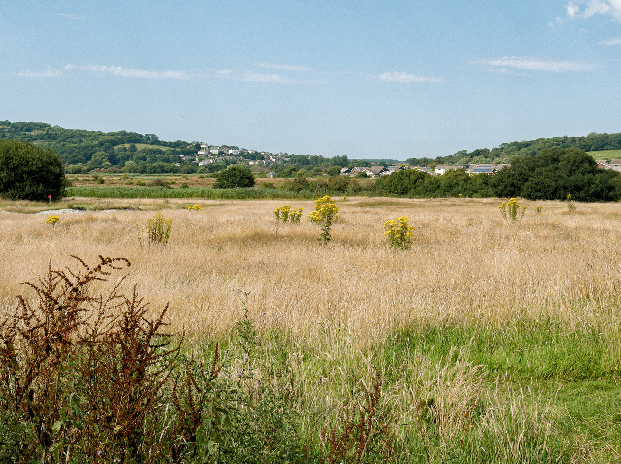 The International School of Rewilding and Regenerative Agriculture expression of interest