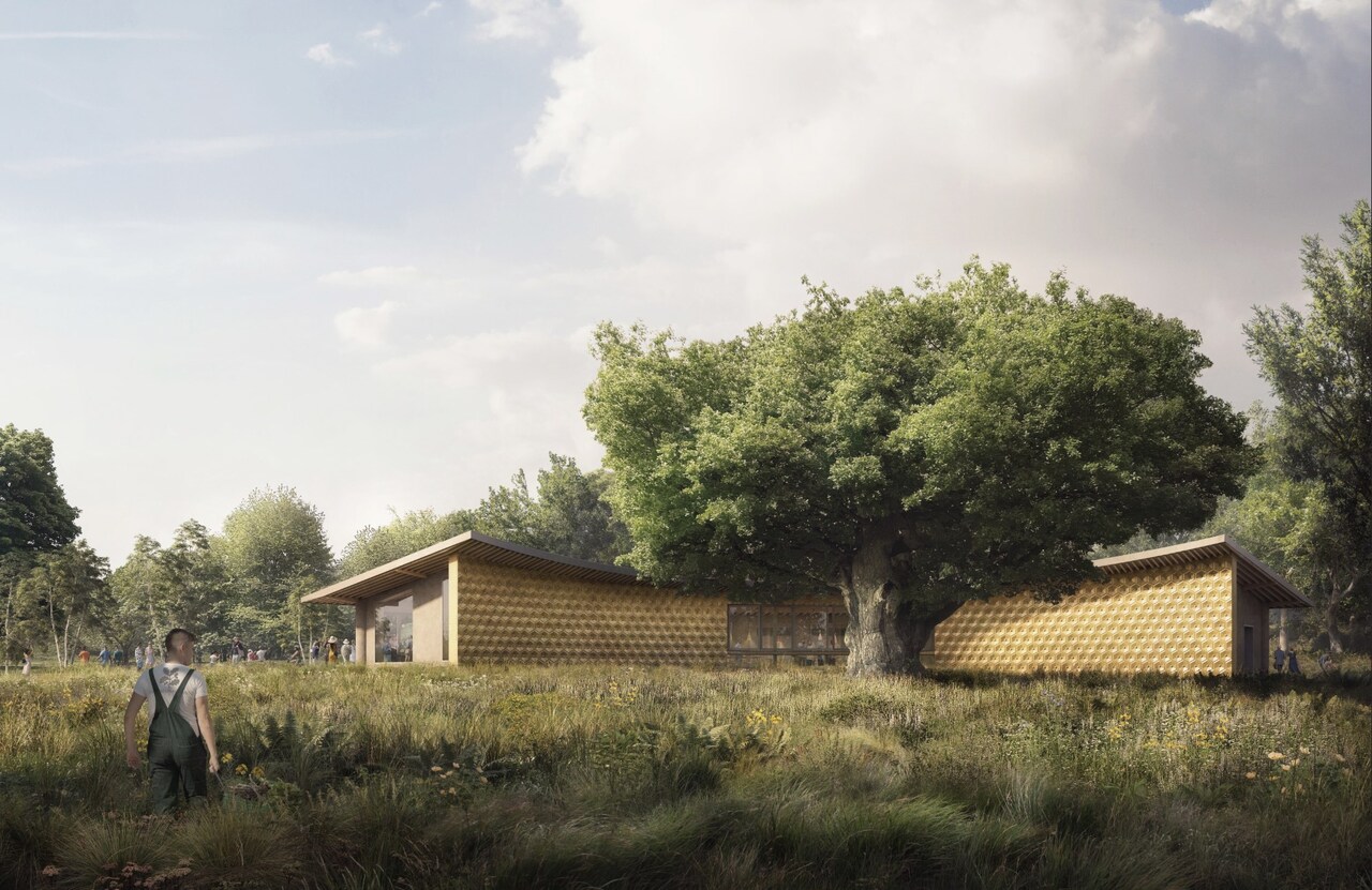 Citizens Design Bureau Architects Ltd: Being a good ancestor