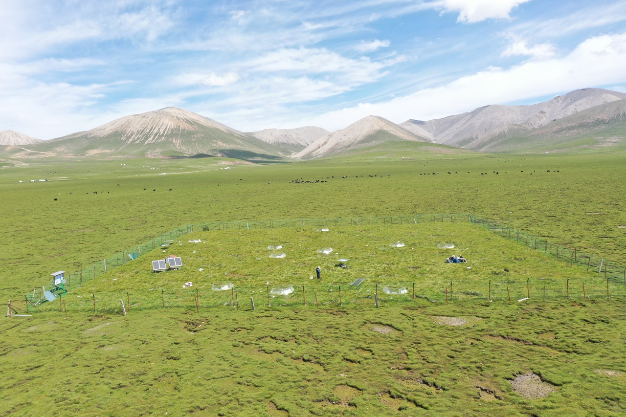 Understanding soil carbon dynamics in permafrost ecosystem from microbial aspects
