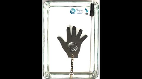 Morphing hand