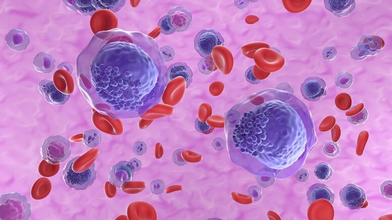 Call for papers: Myeloid cell function and dysfunction Collection