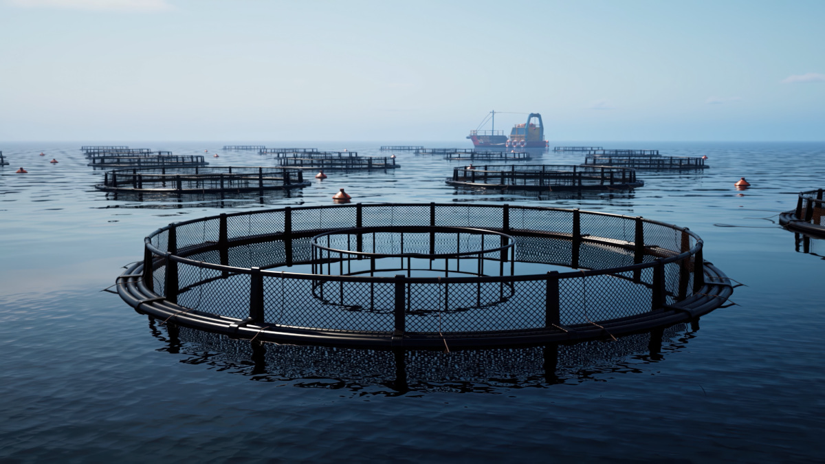 Call for papers: Technological advances in fisheries Collection