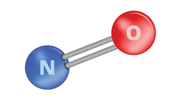 Call for papers: Nitric oxide signalling in cardiovascular health and disease Collection