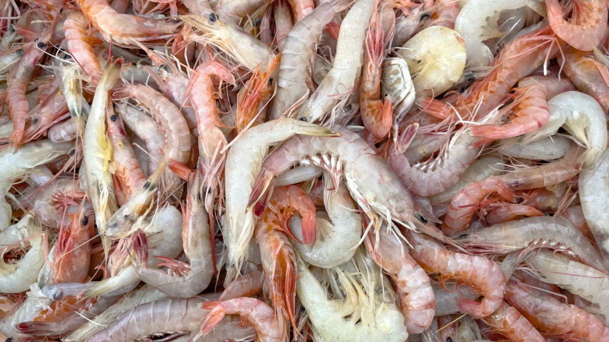 Call for papers: Prawn and shrimp culture Collection