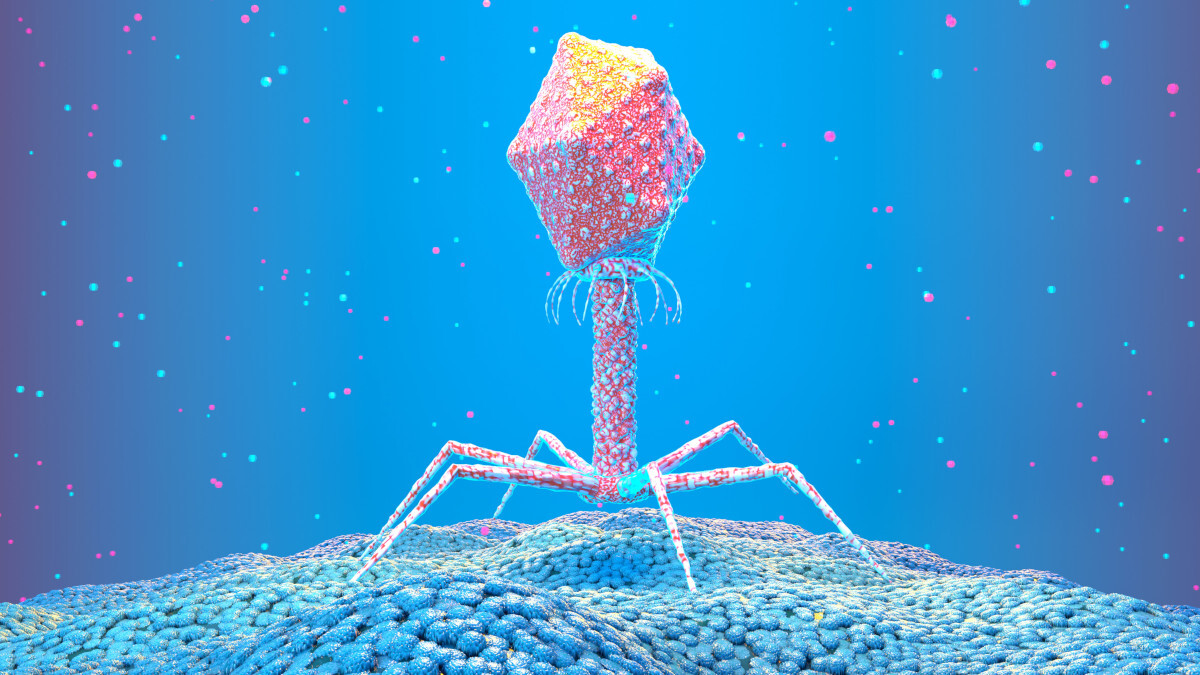 Call for papers: Marine viruses Collection