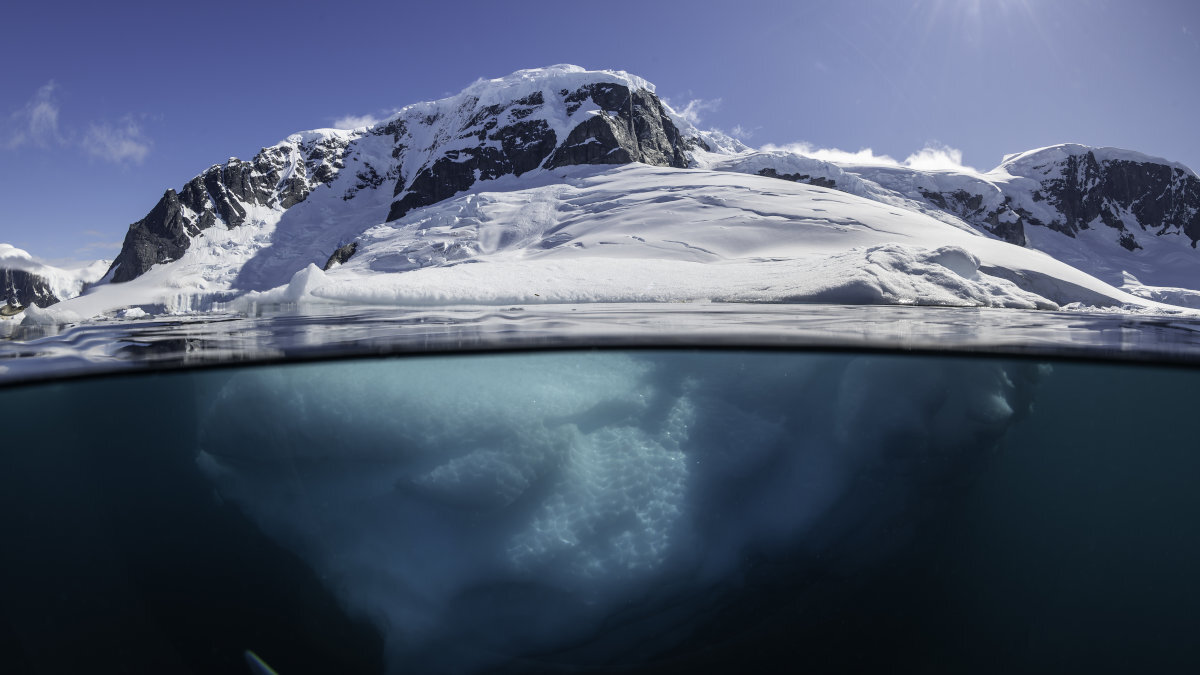 Call for papers: Polar ecology Collection