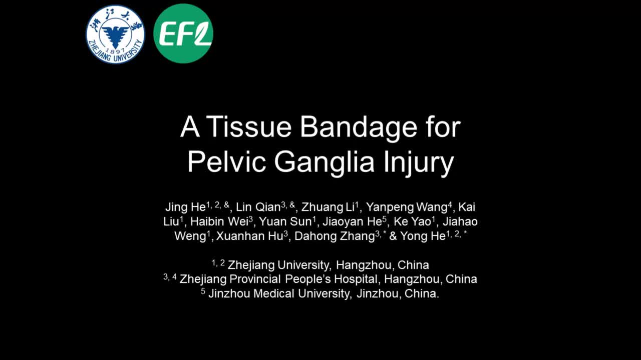 Designed a tissue-like bandage for major pelvic nerve injury