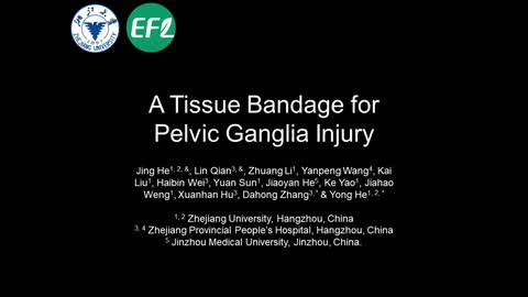 Designed a tissue-like bandage for major pelvic nerve injury