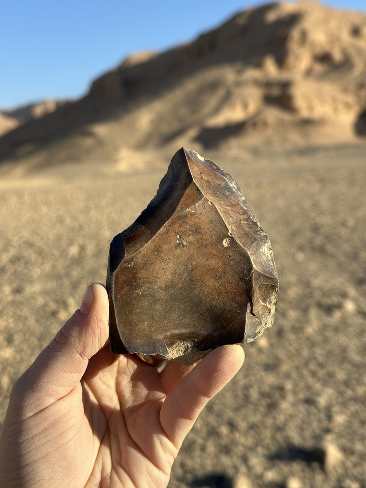 What can Nubian Levallois cores tell us about Paleolithic human adaptation?