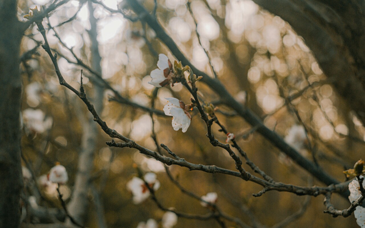 February 2026 Highlights from the Health & Clinical and Life Sciences Research Communities: Rare Disease Day 