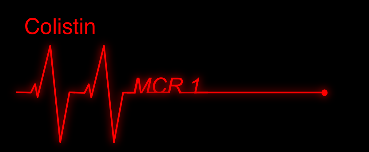 Back from the dead...again?