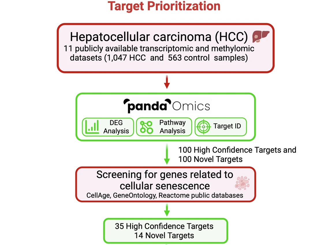 The Two-Front War Against Cancer and Aging: AI Tools Identify Dual-Purpose Targets for Hepatocellular Carcinoma