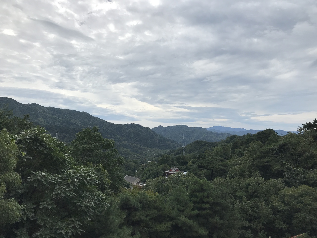 Biodiversity Conservation Internship